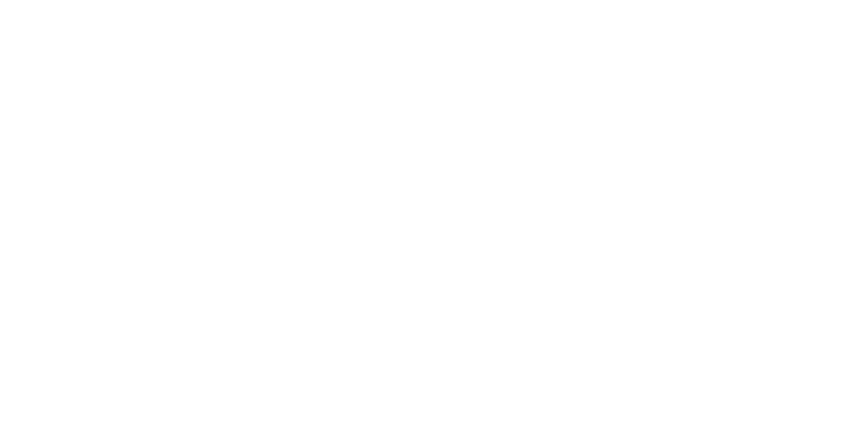 Wise Choice Crane and Controls