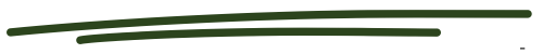 underline transparent